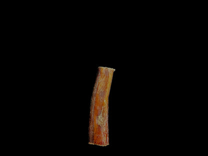 MEGA BULLY STICK
